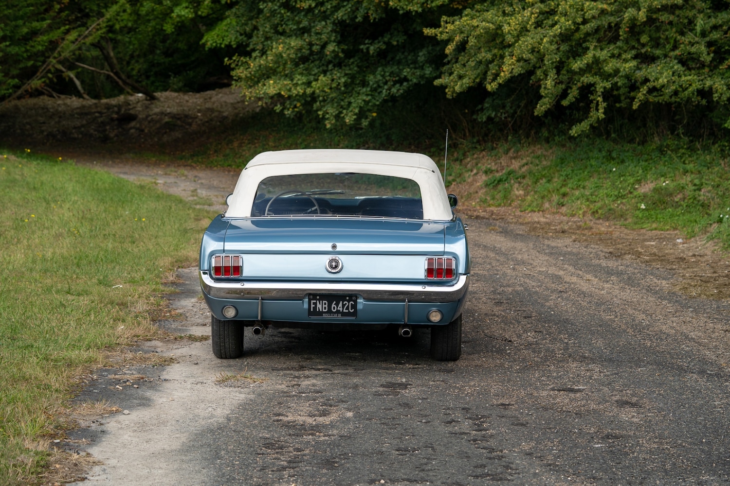 Used Ford Mustang 2019 for sale - 76288652: Photo 14