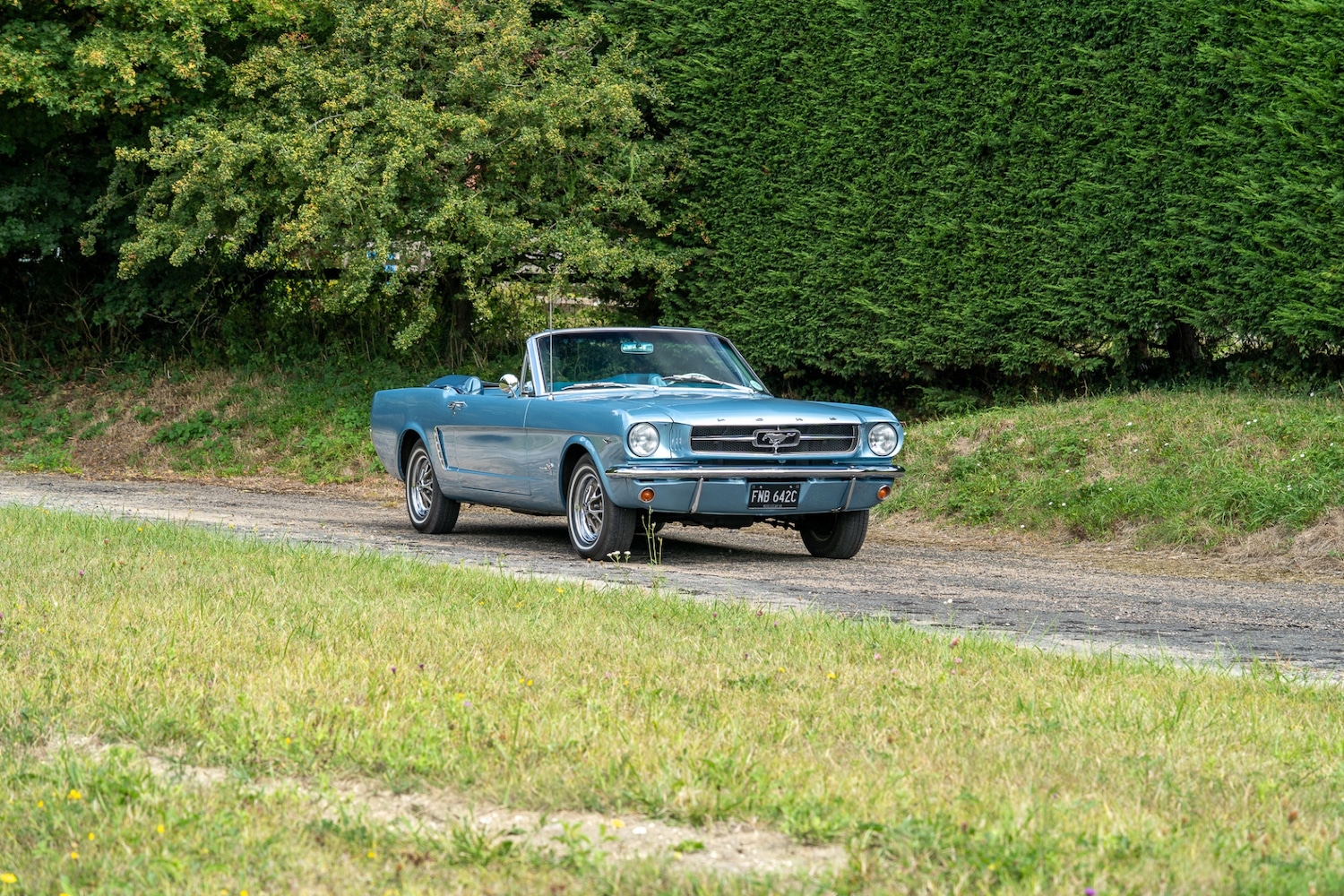 Used Ford Mustang 2019 for sale - 76288652: Photo 16