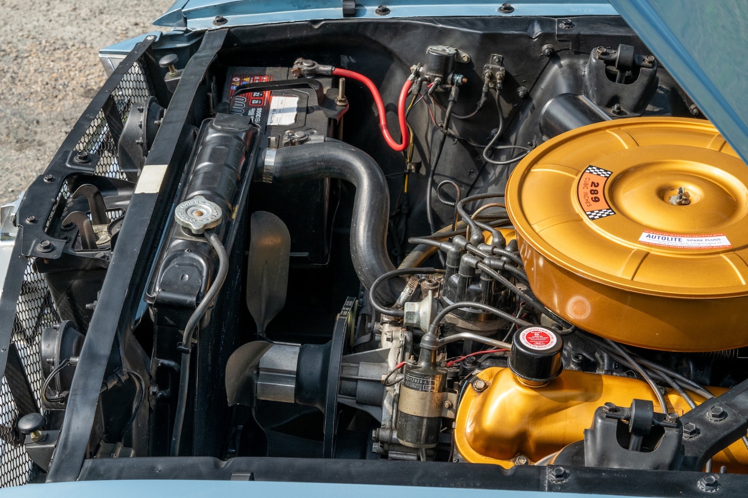 Used Ford Mustang 2019 for sale - 76288652: Photo 18