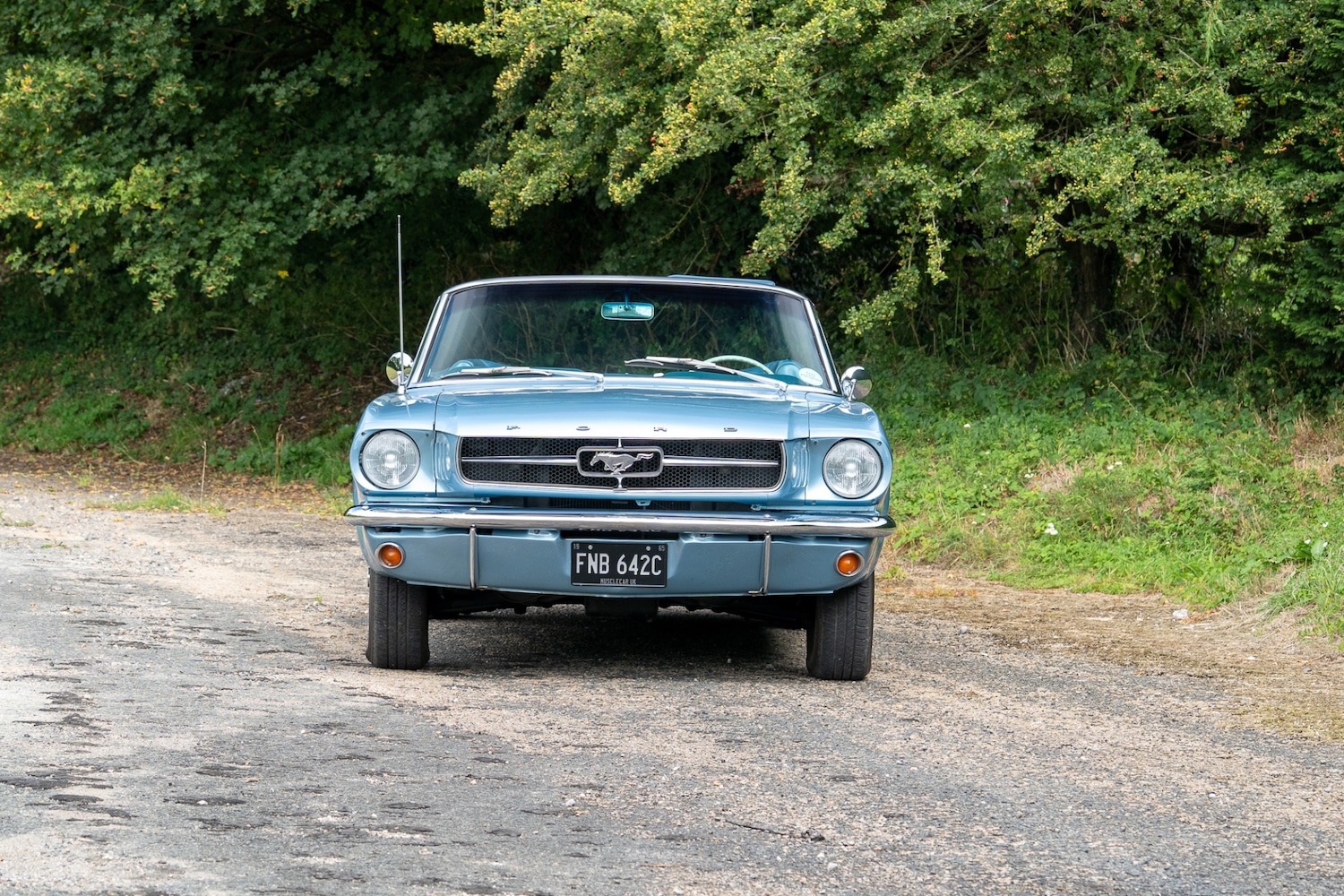 Used Ford Mustang 2019 for sale - 76288652: Photo 2
