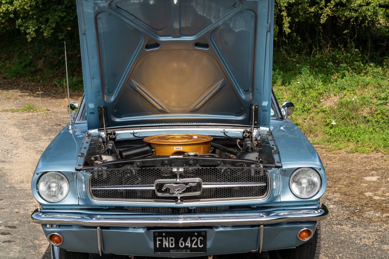 Used Ford Mustang 2019 for sale - 76288652: Photo 20