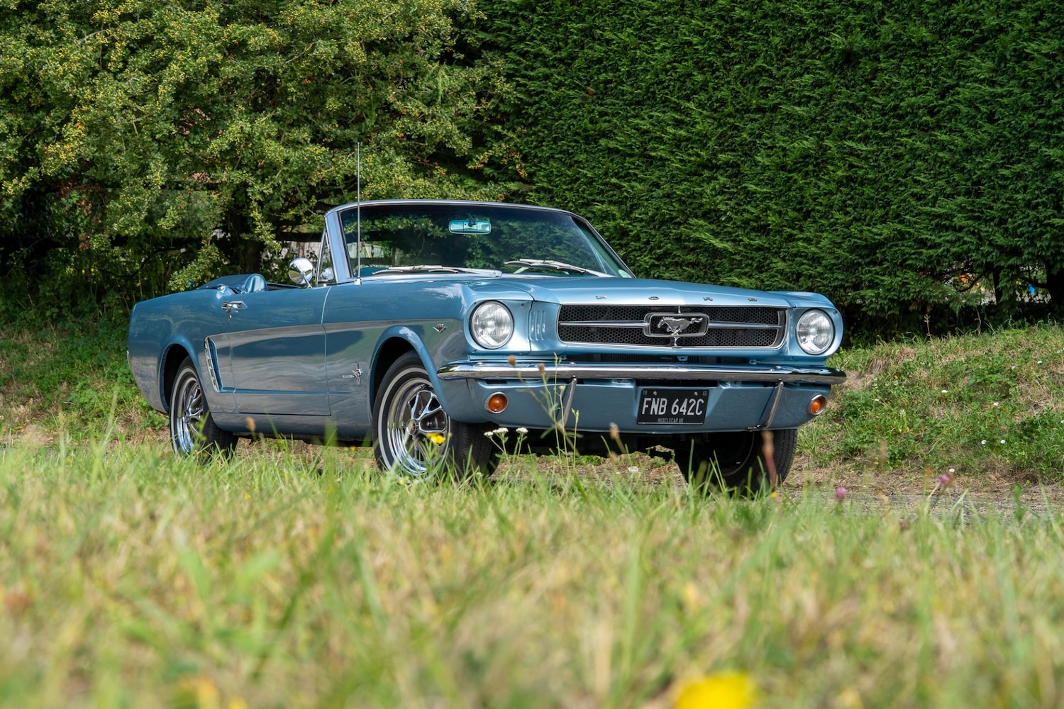 Used Ford Mustang 2019 for sale - 76288652: Photo 22