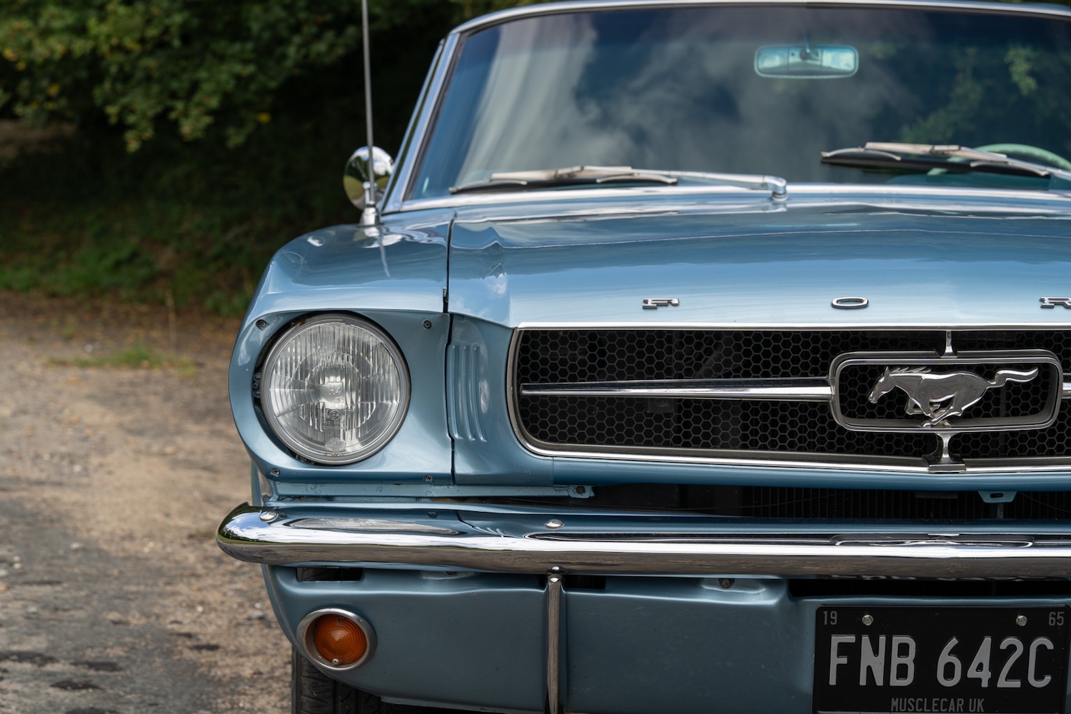 Used Ford Mustang 2019 for sale - 76288652: Photo 23