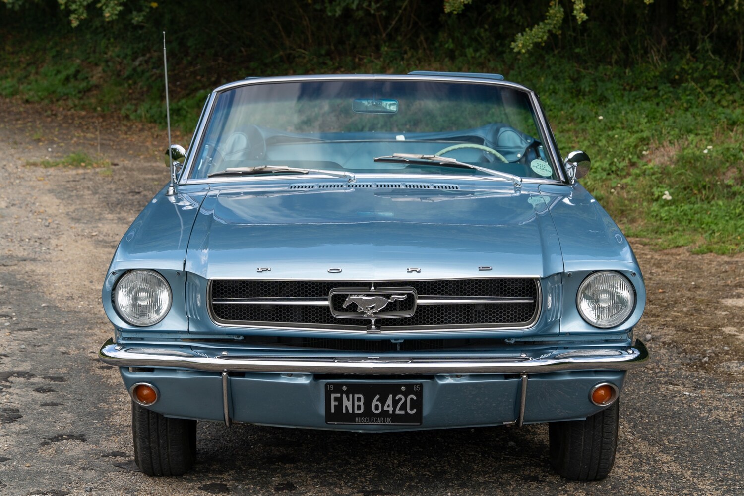 Used Ford Mustang 2019 for sale - 76288652: Photo 24