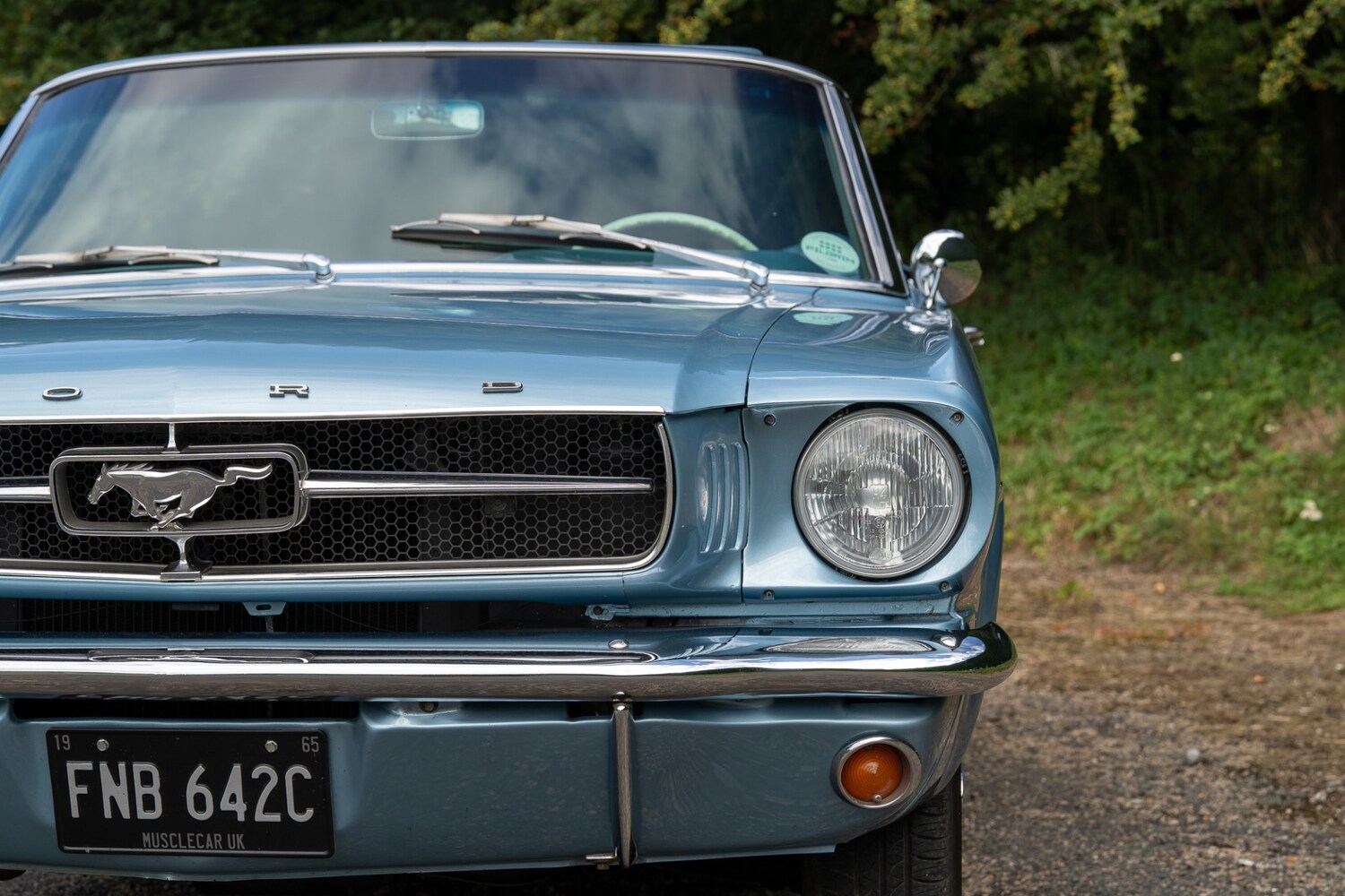 Used Ford Mustang 2019 for sale - 76288652: Photo 25