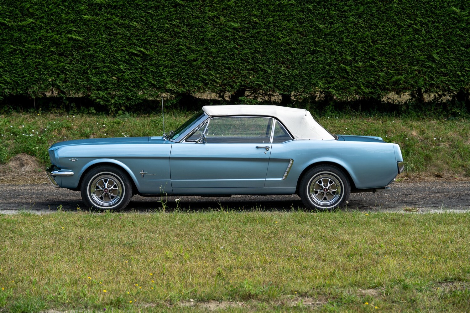 Used Ford Mustang 2019 for sale - 76288652: Photo 35