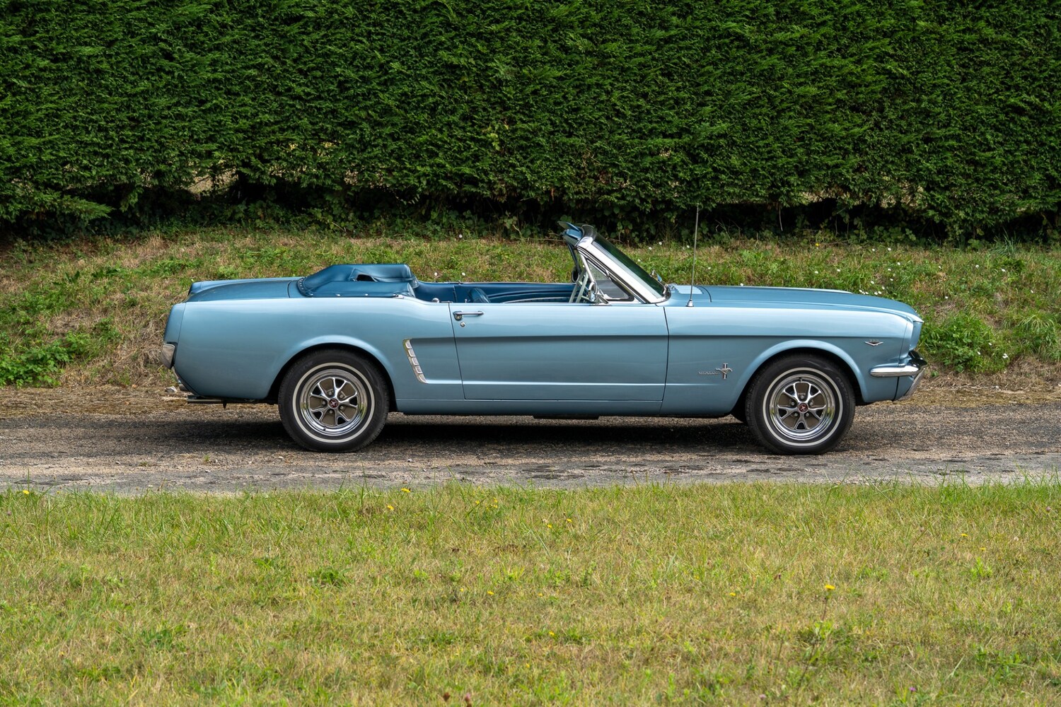 Used Ford Mustang 2019 for sale - 76288652: Photo 36