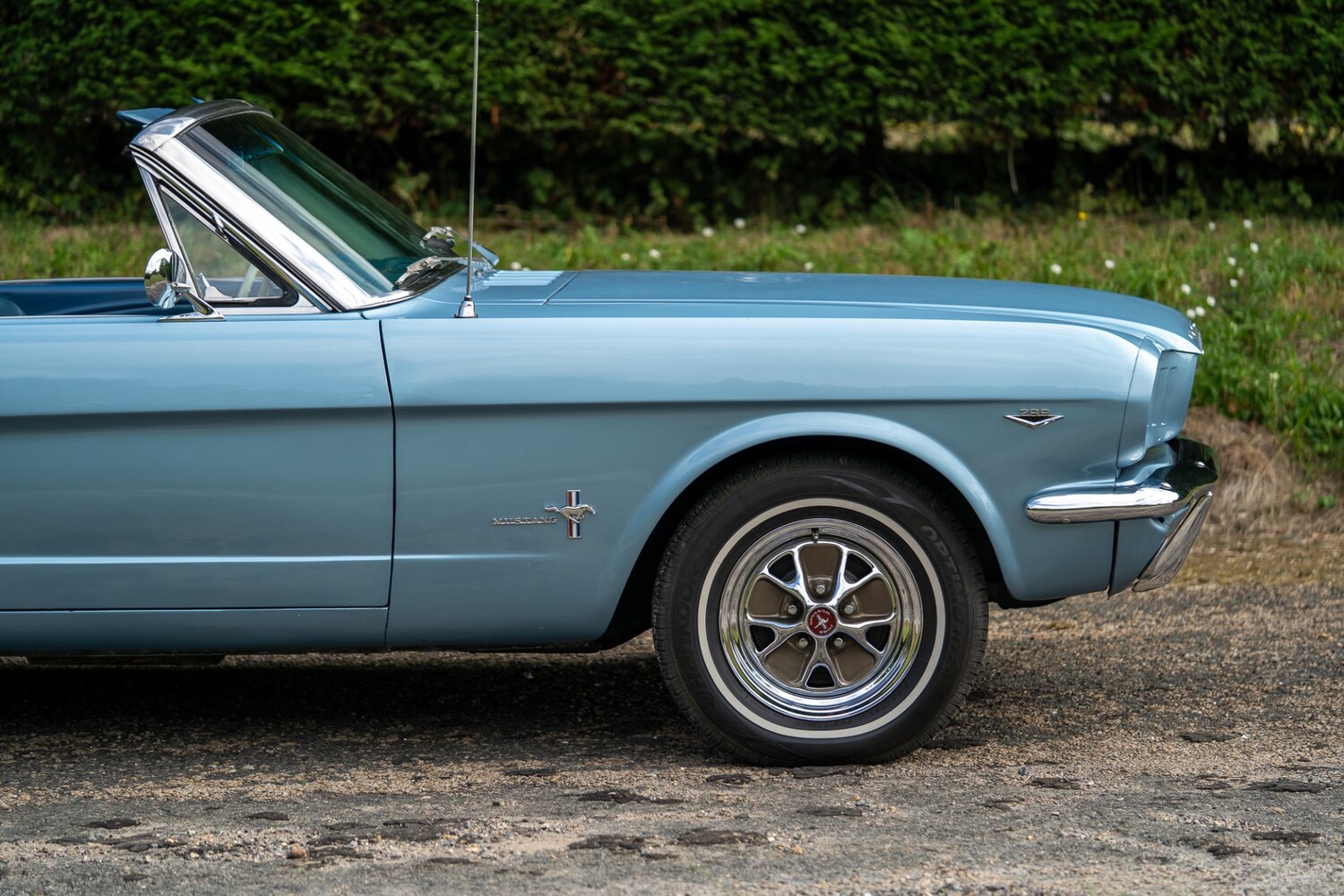 Used Ford Mustang 2019 for sale - 76288652: Photo 38