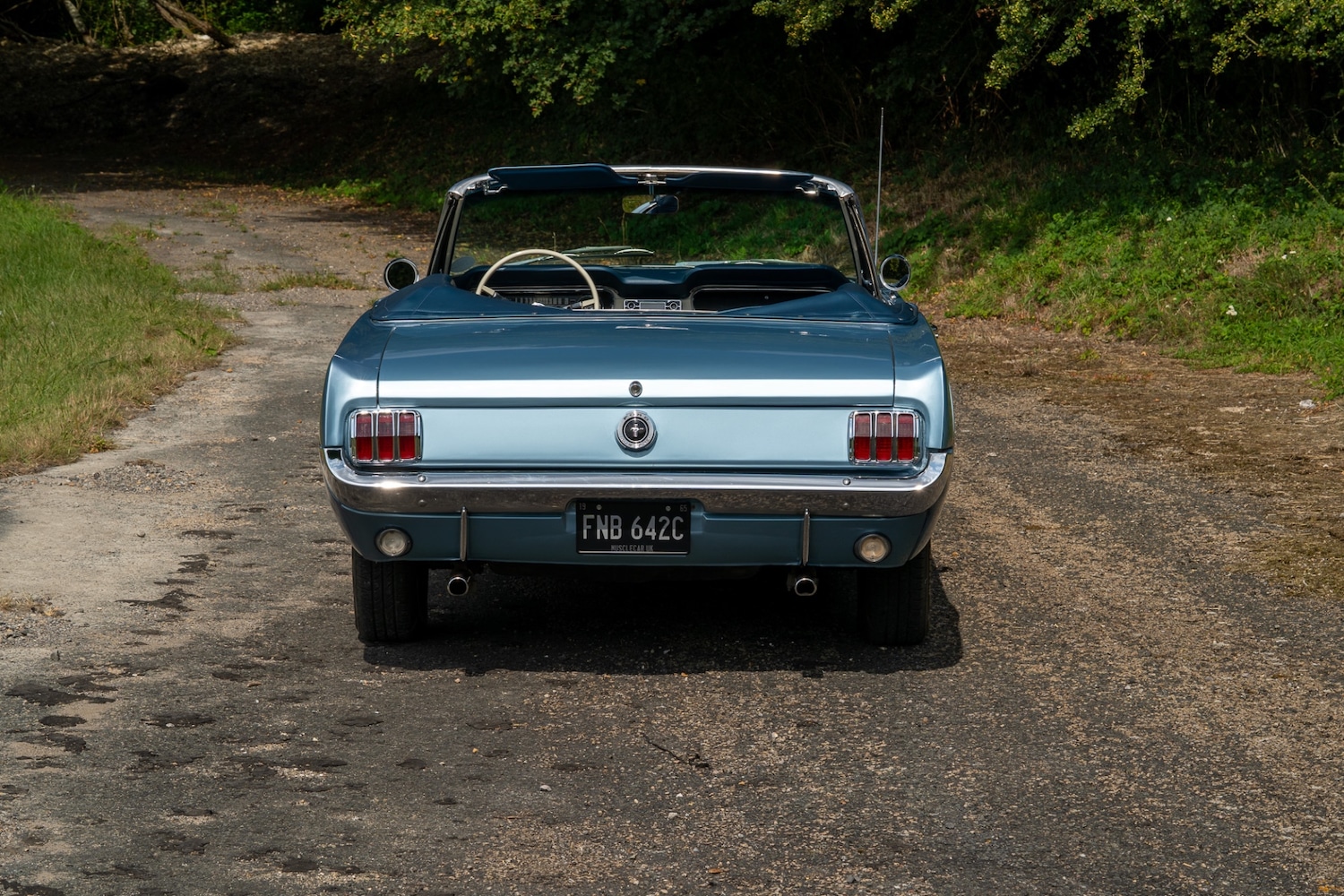 Used Ford Mustang 2019 for sale - 76288652: Photo 5