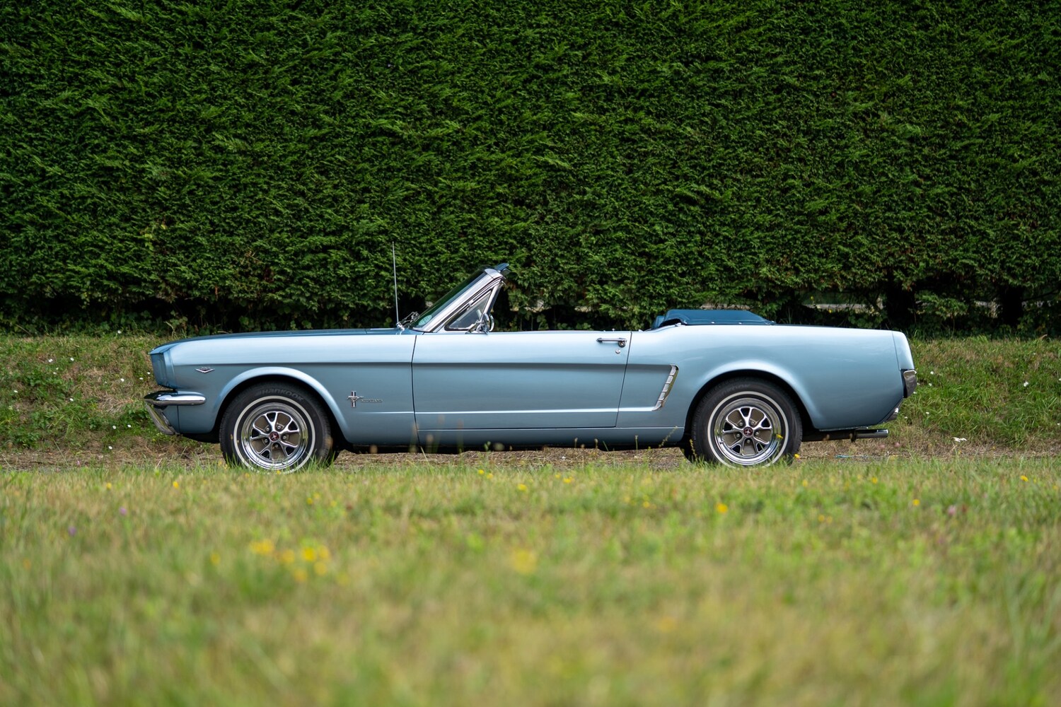 Used Ford Mustang 2019 for sale - 76288652: Photo 52