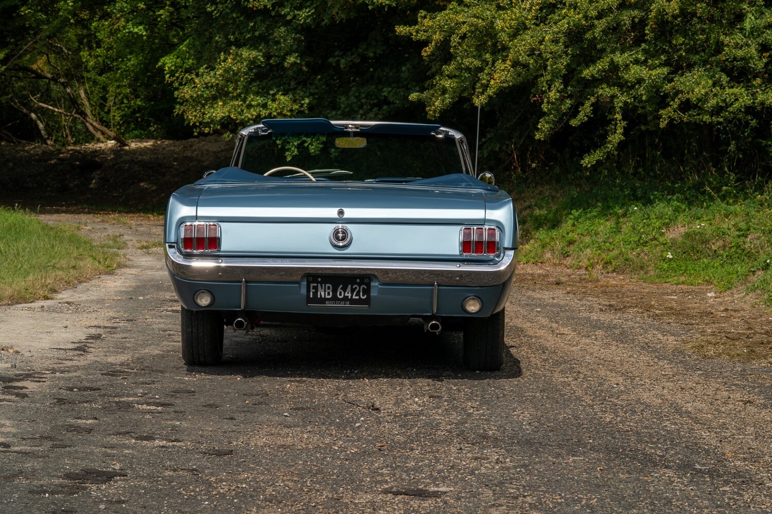 Used Ford Mustang 2019 for sale - 76288652: Photo 83