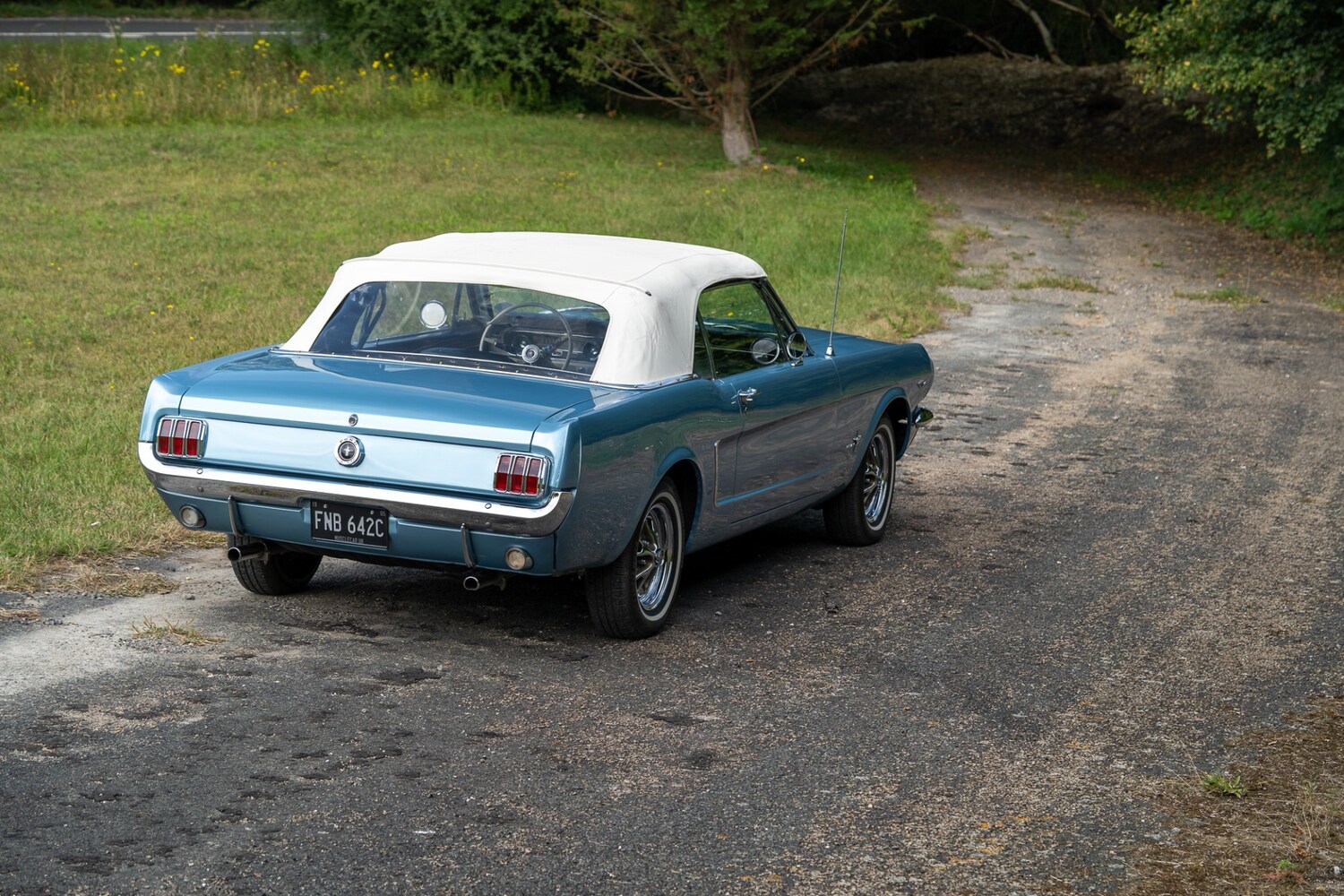 Used Ford Mustang 2019 for sale - 76288652: Photo 85