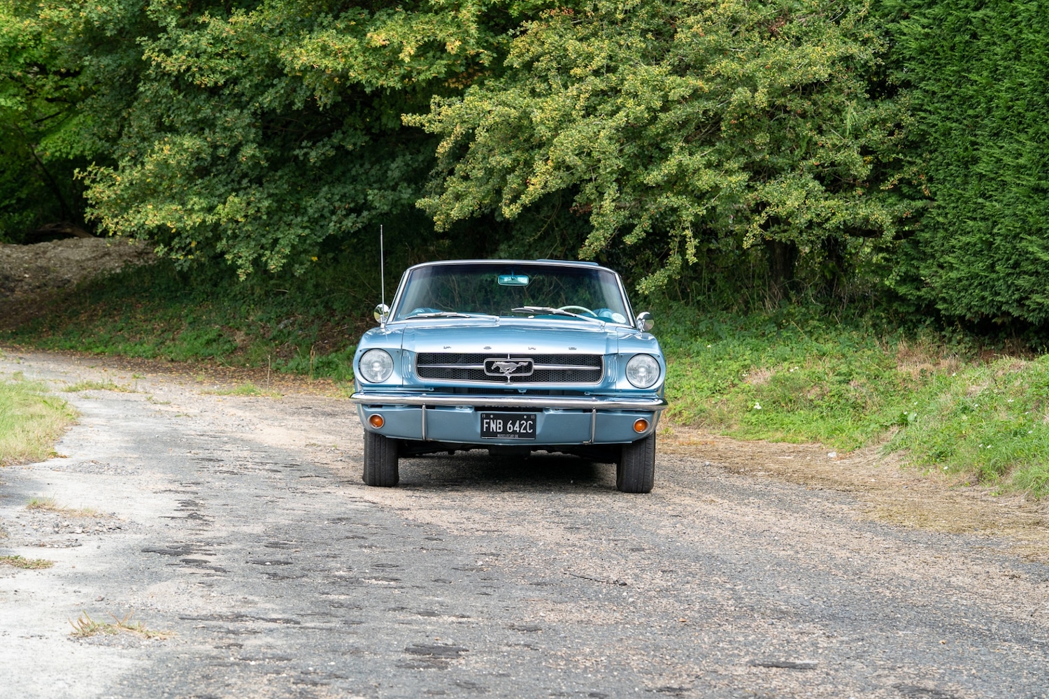 Used Ford Mustang 2019 for sale - 76288652: Photo 94