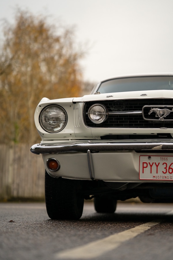 Used Ford Mustang 1966 for sale - 73031594: Photo 49
