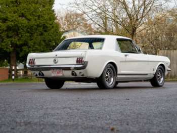 Used Ford Mustang 1966 for sale - 73031594: Photo