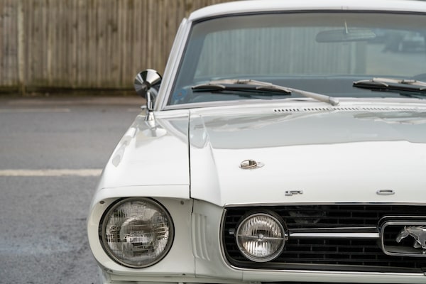 Used Ford Mustang 1966 for sale - 73031594: Photo 54