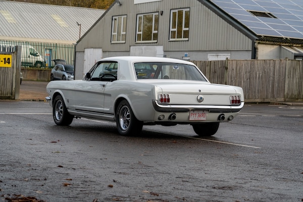 Used Ford Mustang 1966 for sale - 73031594: Photo 8