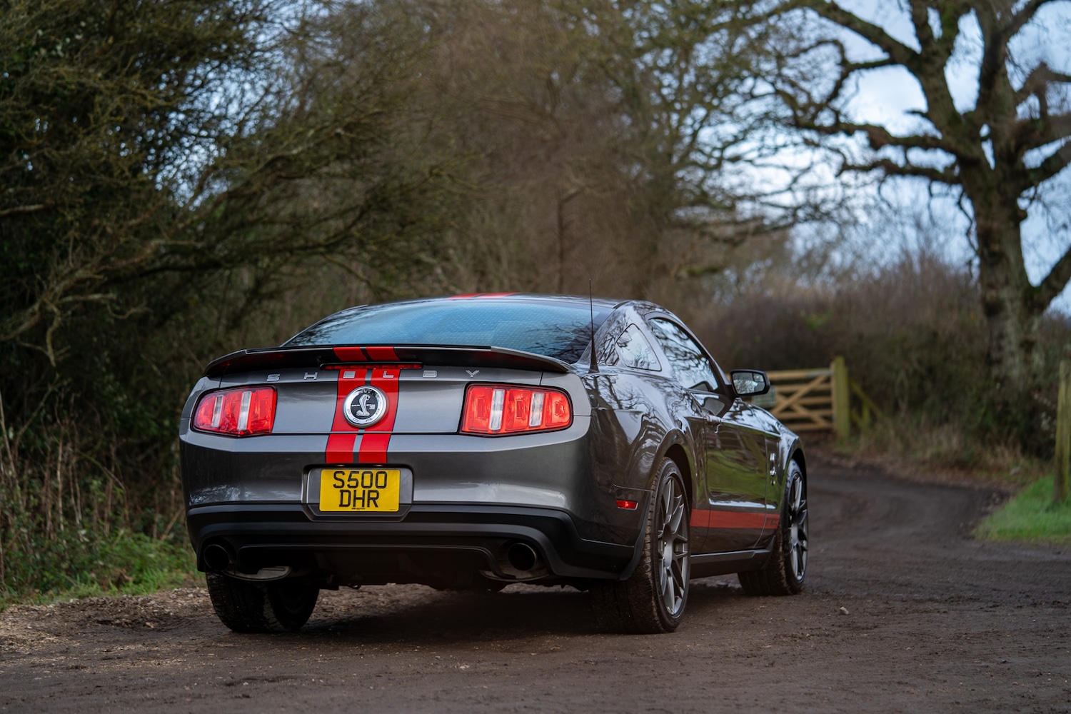 Used Ford Mustang 2019 for sale - 76987119: Photo 11