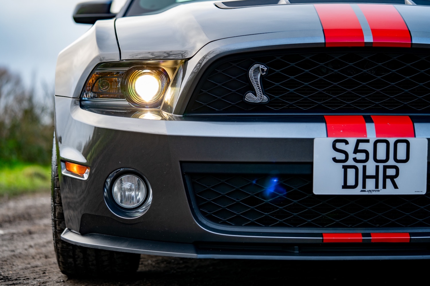 Used Ford Mustang 2019 for sale - 76987119: Photo 14