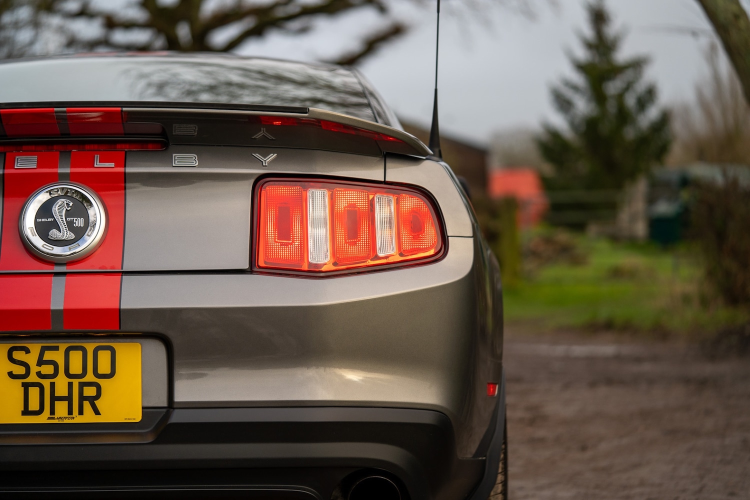 Used Ford Mustang 2019 for sale - 76987119: Photo 16