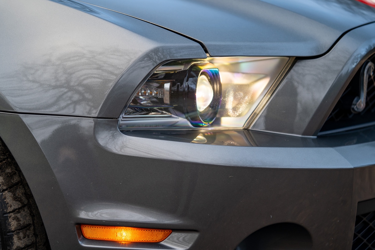 Used Ford Mustang 2019 for sale - 76987119: Photo 19