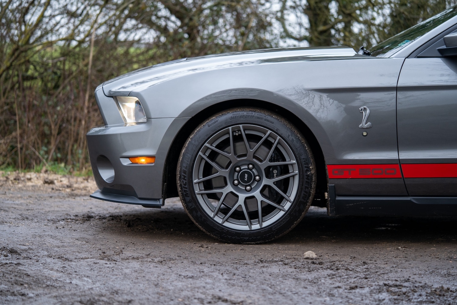 Used Ford Mustang 2019 for sale - 76987119: Photo 22