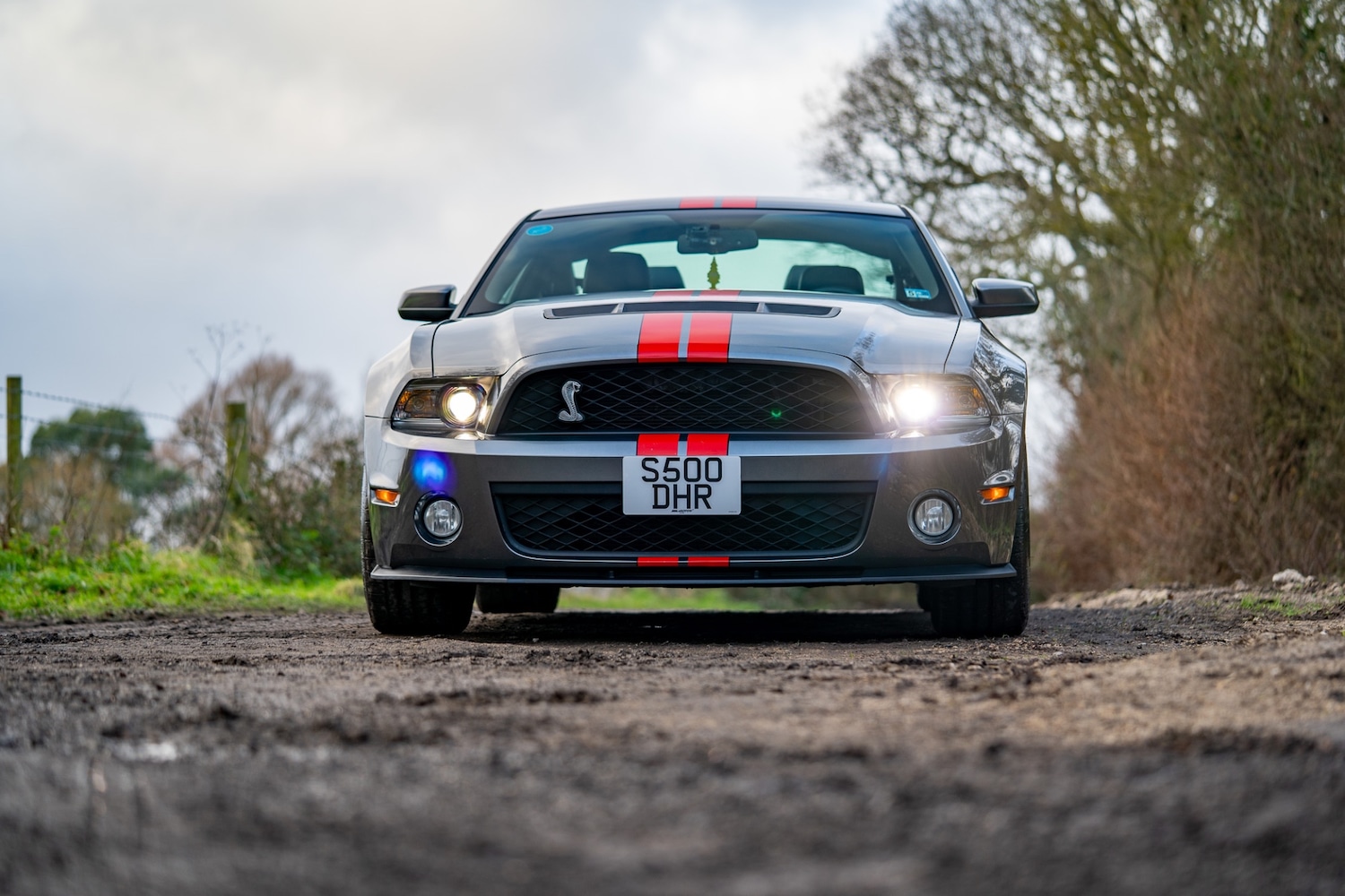 Used Ford Mustang 2019 for sale - 76987119: Photo 3