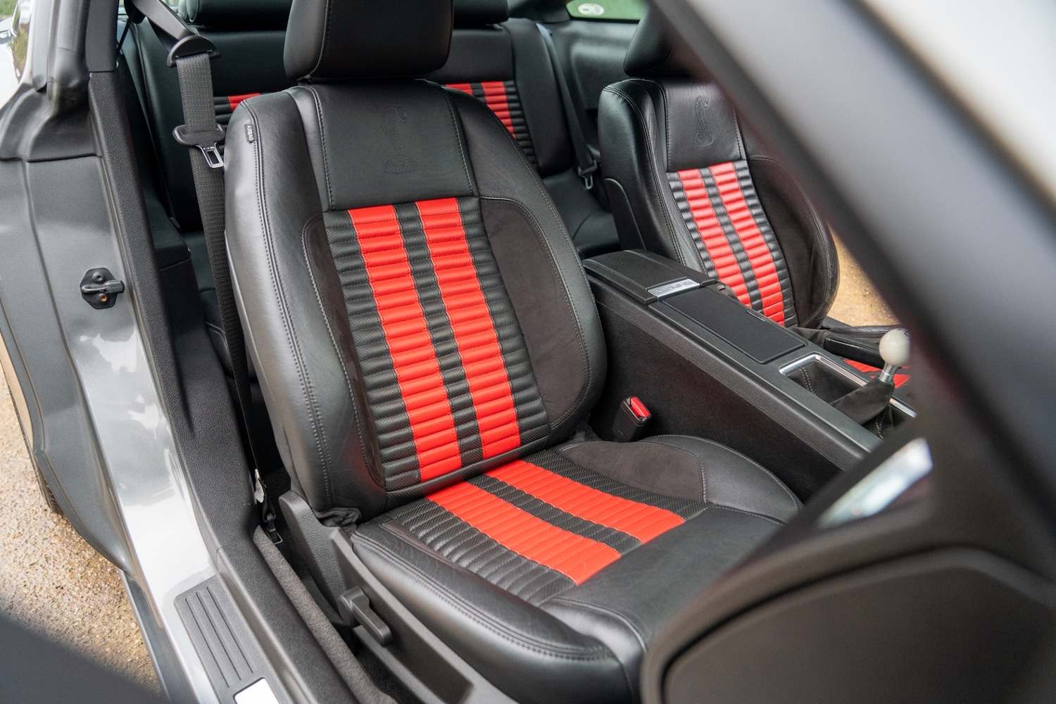 Used Ford Mustang 2019 for sale - 76987119: Photo 46