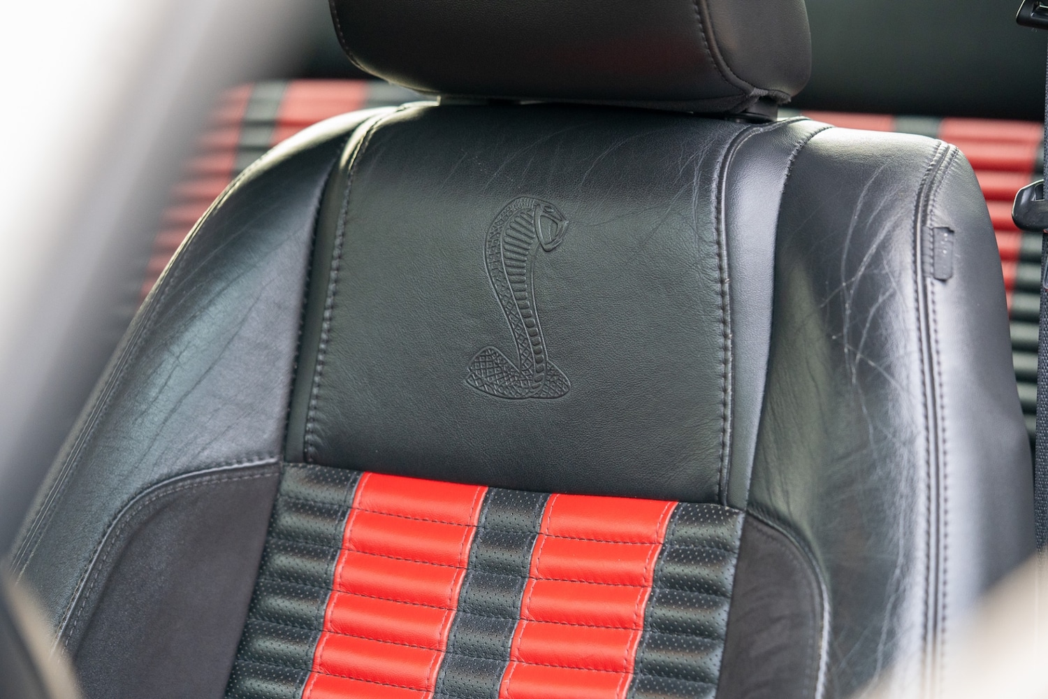 Used Ford Mustang 2019 for sale - 76987119: Photo 50