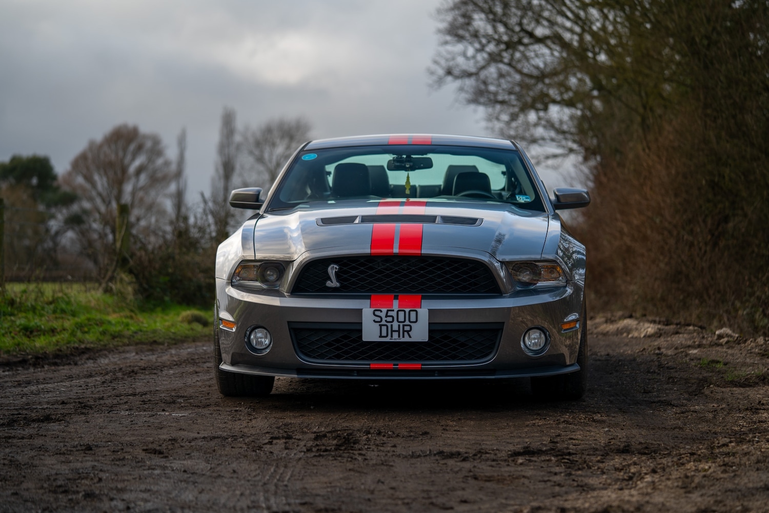 Used Ford Mustang 2019 for sale - 76987119: Photo 52