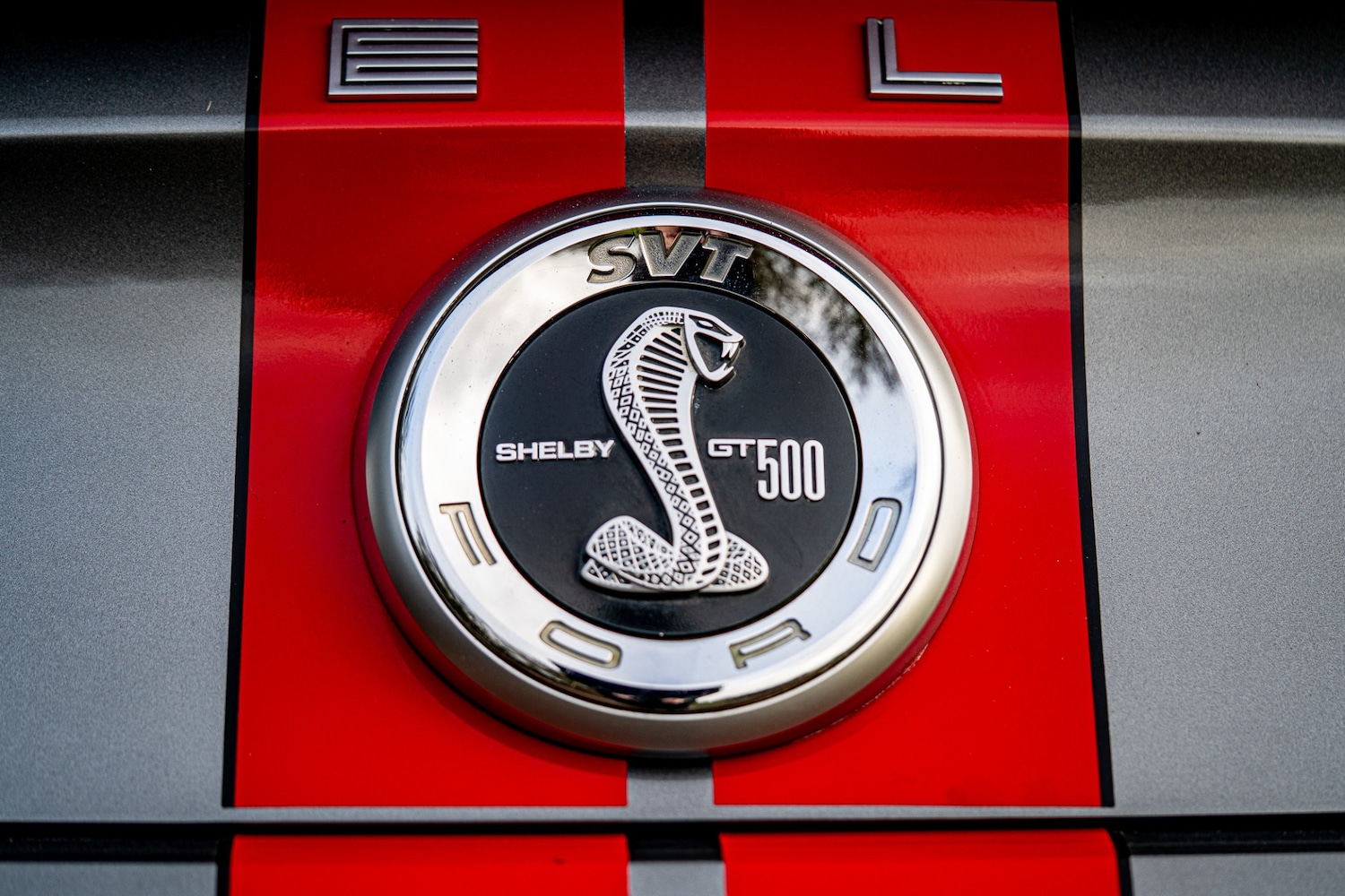 Used Ford Mustang 2019 for sale - 76987119: Photo 54