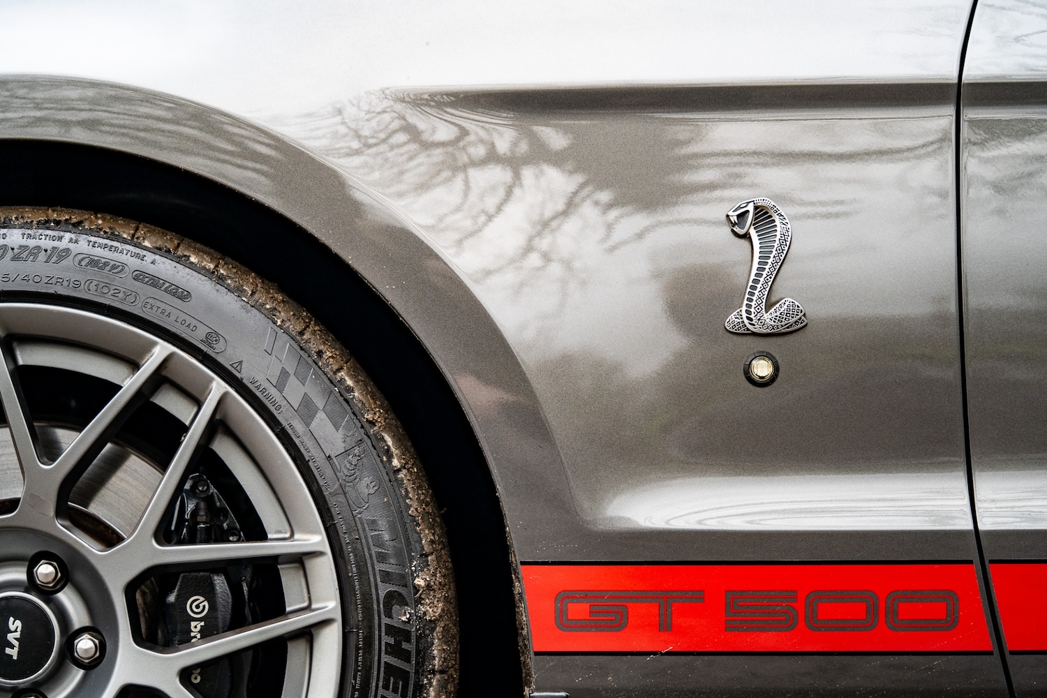 Used Ford Mustang 2019 for sale - 76987119: Photo 57