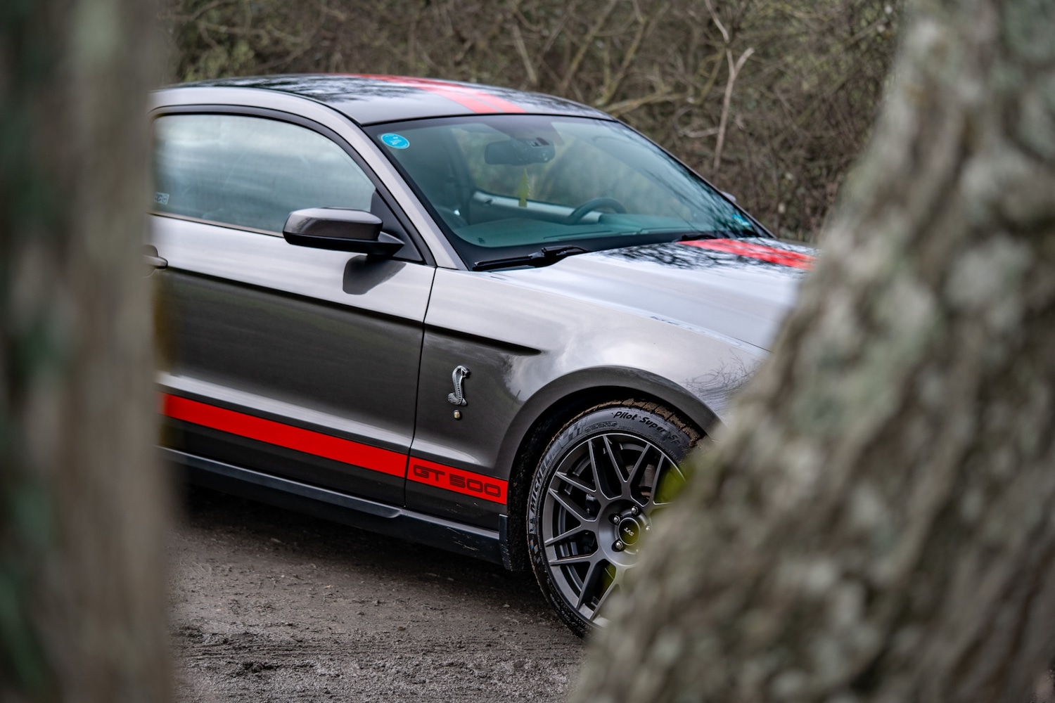 Used Ford Mustang 2019 for sale - 76987119: Photo 6