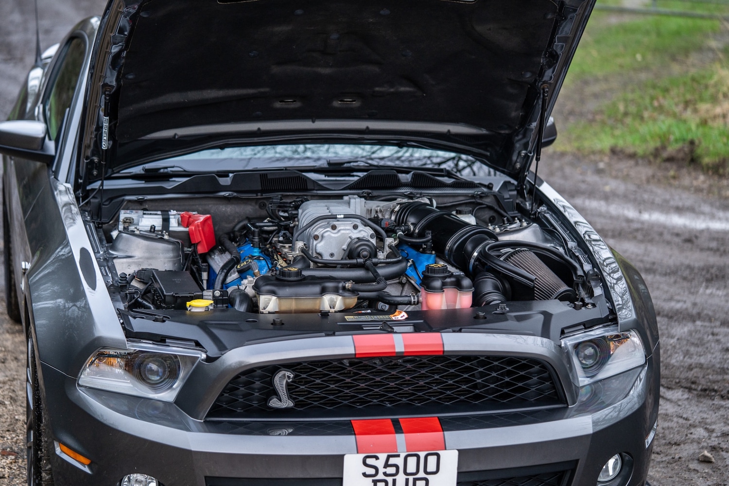 Used Ford Mustang 2019 for sale - 76987119: Photo 62