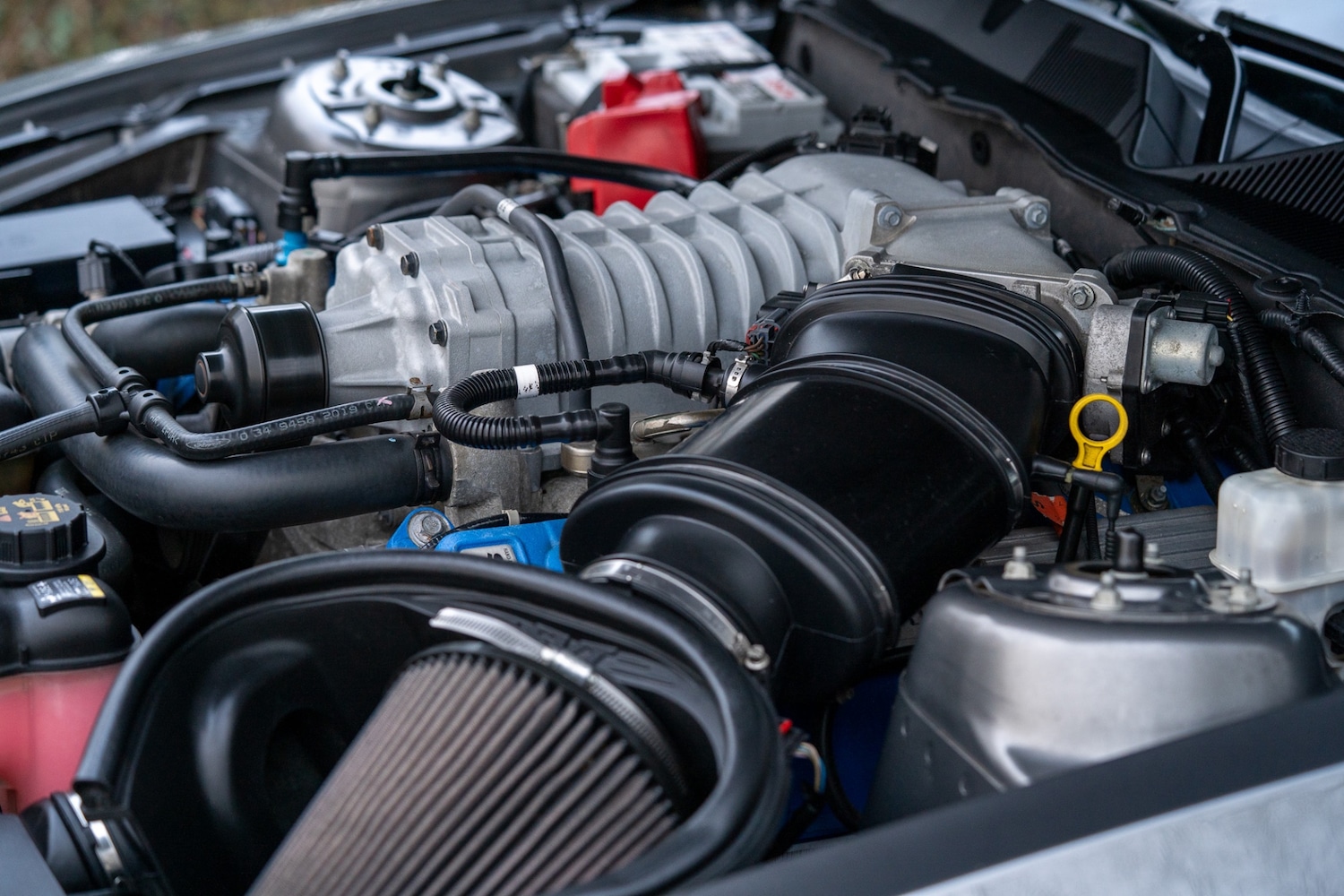 Used Ford Mustang 2019 for sale - 76987119: Photo 65