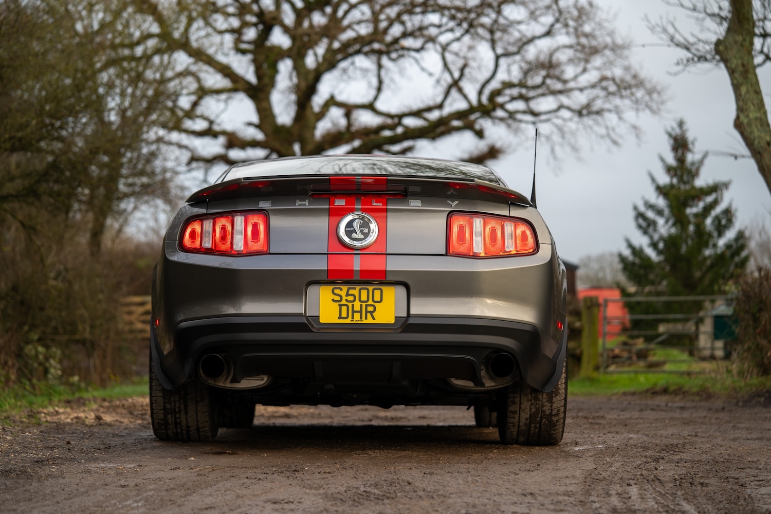 Used Ford Mustang 2019 for sale - 76987119: Photo 8