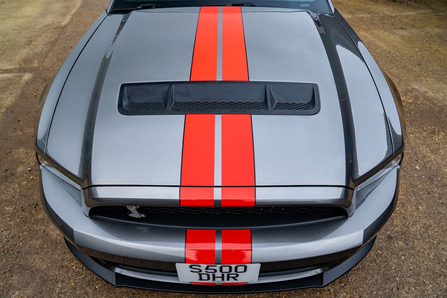 Used Ford Mustang 2019 for sale - 76987119: Photo 84