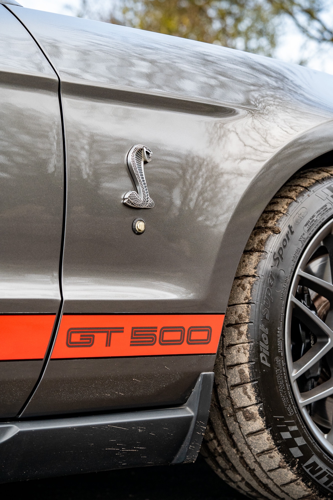 Used Ford Mustang 2019 for sale - 76987119: Photo 89