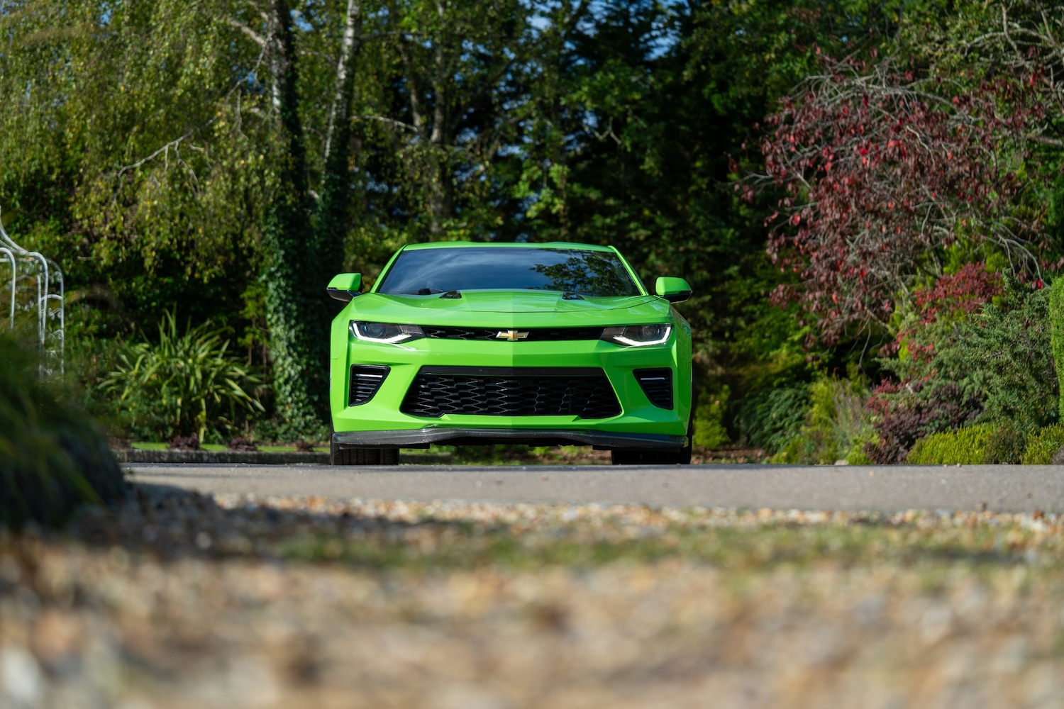 Used Chevrolet Camaro 2019 for sale - 76288521: Photo 14