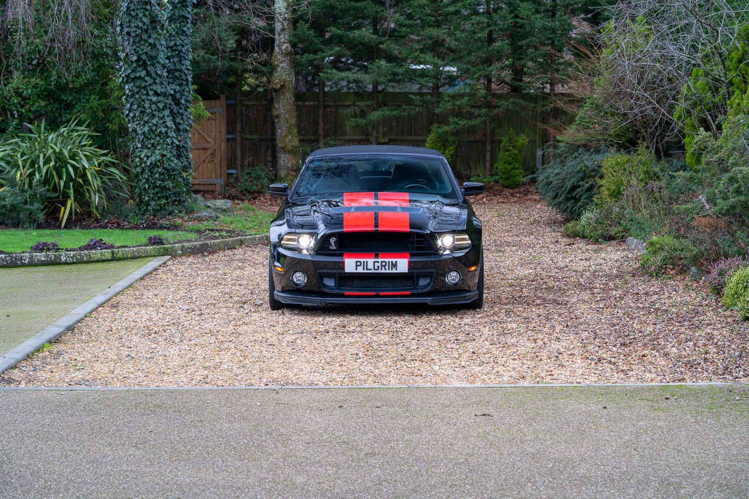 Used Ford Mustang 2014 for sale - 76987081: Photo 2