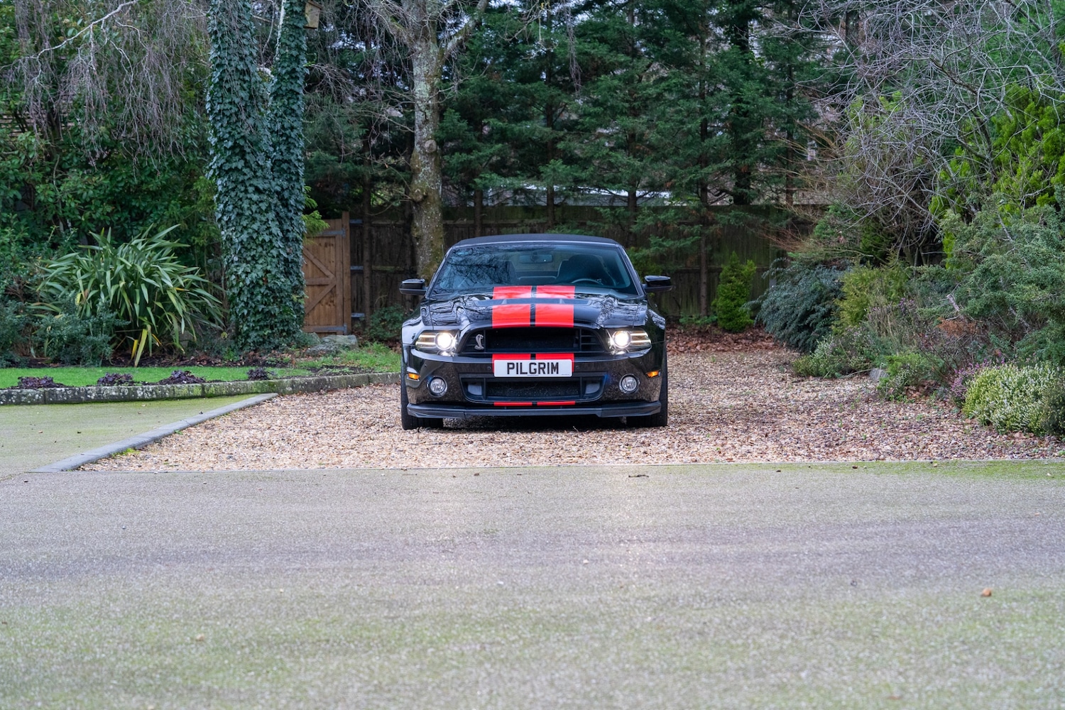 Used Ford Mustang 2014 for sale - 76987081: Photo 3