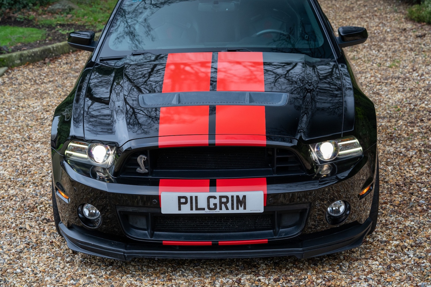 Used Ford Mustang 2014 for sale - 76987081: Photo 5