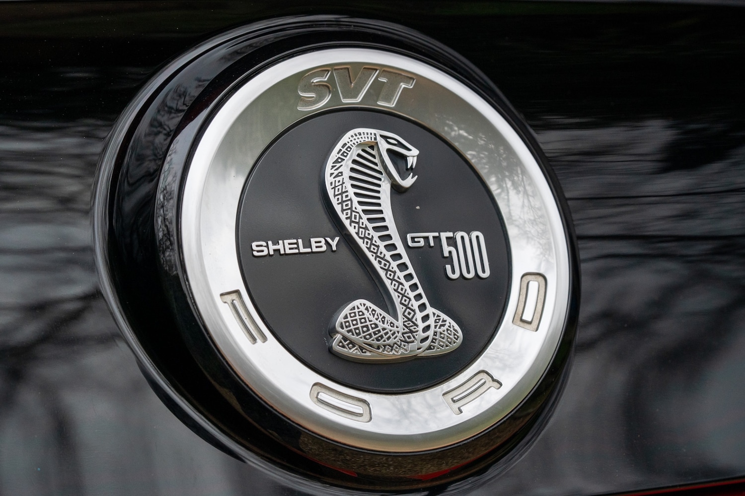 Used Ford Mustang 2014 for sale - 76987081: Photo 51