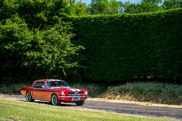 Used Ford Mustang 1966 for sale - 73025692: Photo 26