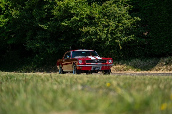 Used Ford Mustang 1966 for sale - 73025692: Photo 27