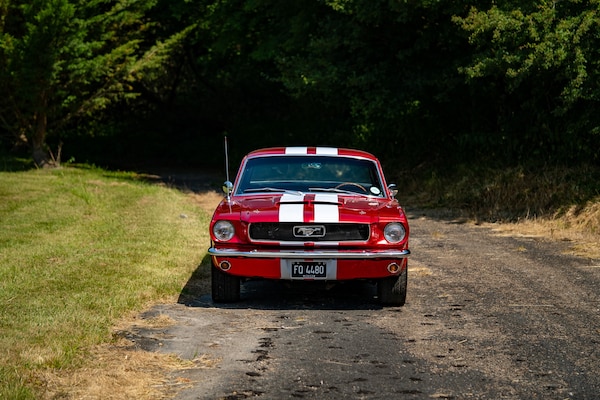 Used Ford Mustang 1966 for sale - 73025692: Photo 3