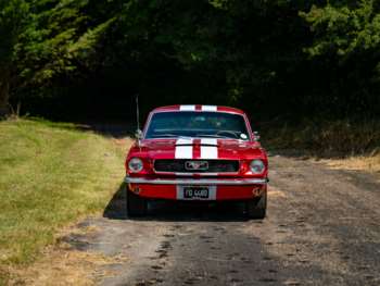 Used Ford Mustang 1966 for sale - 73025692: Photo