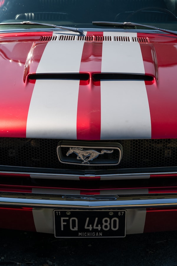 Used Ford Mustang 1966 for sale - 73025692: Photo 98