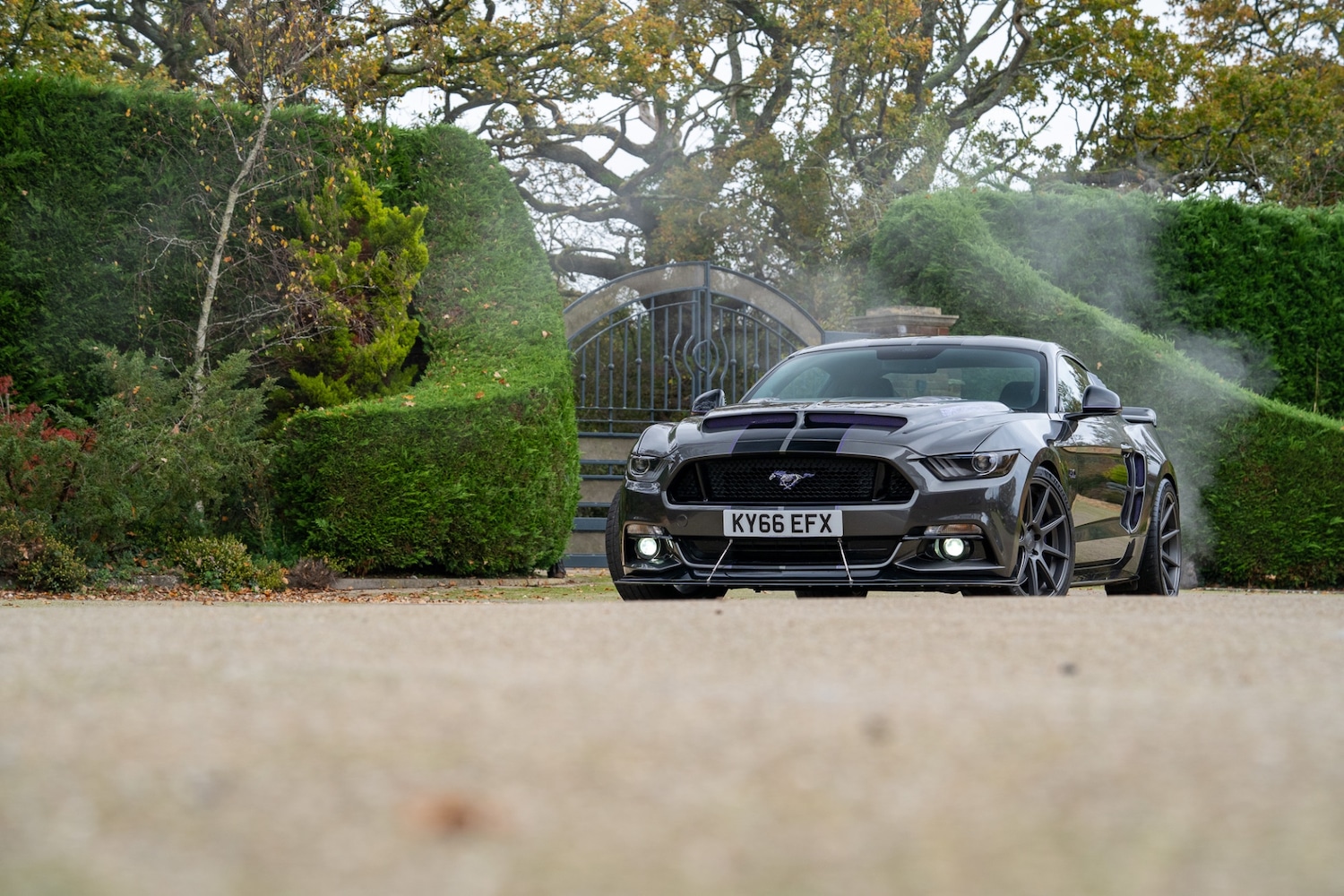Used Ford Mustang 2016 for sale - 77448154: Photo 100