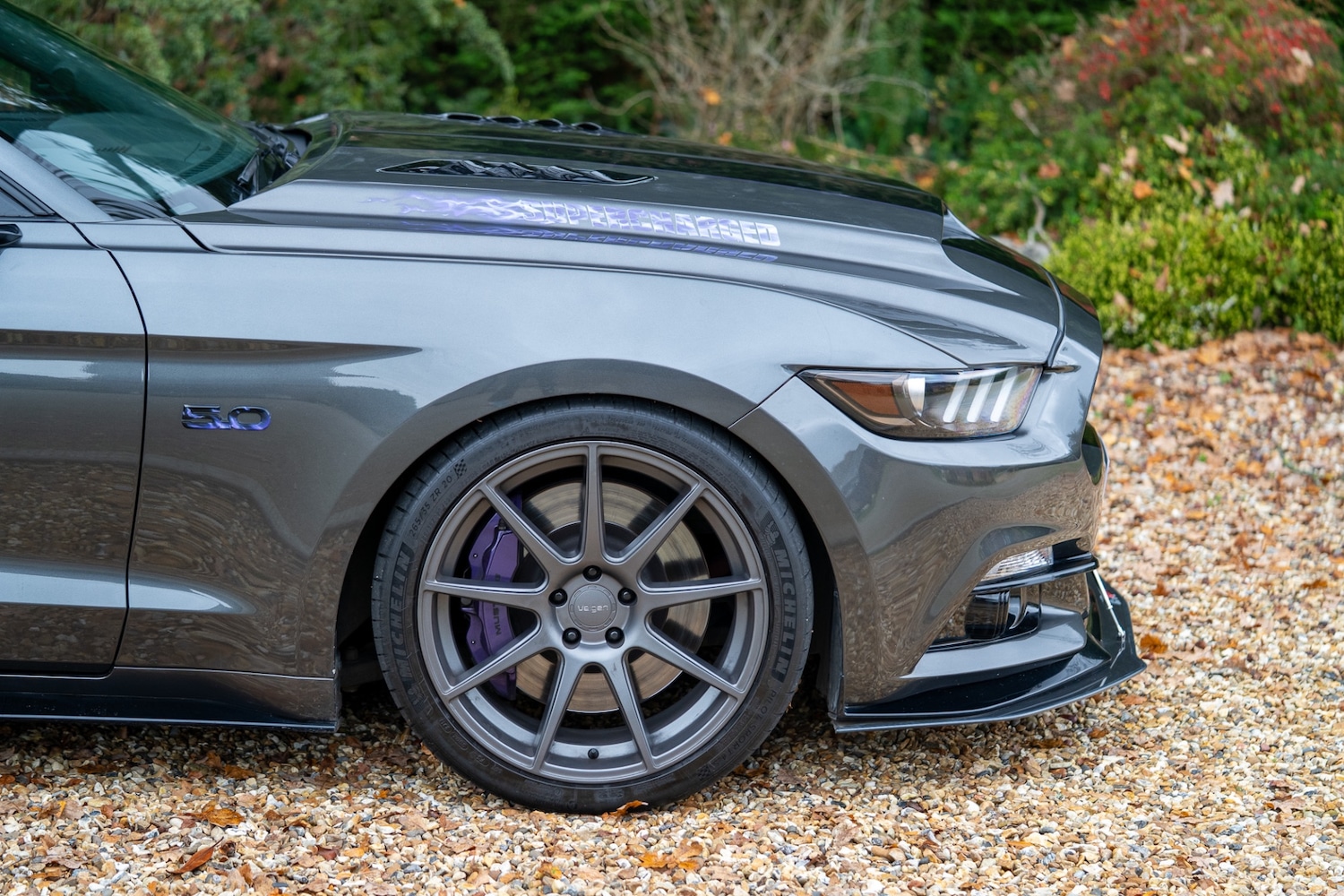 Used Ford Mustang 2016 for sale - 77448154: Photo 12